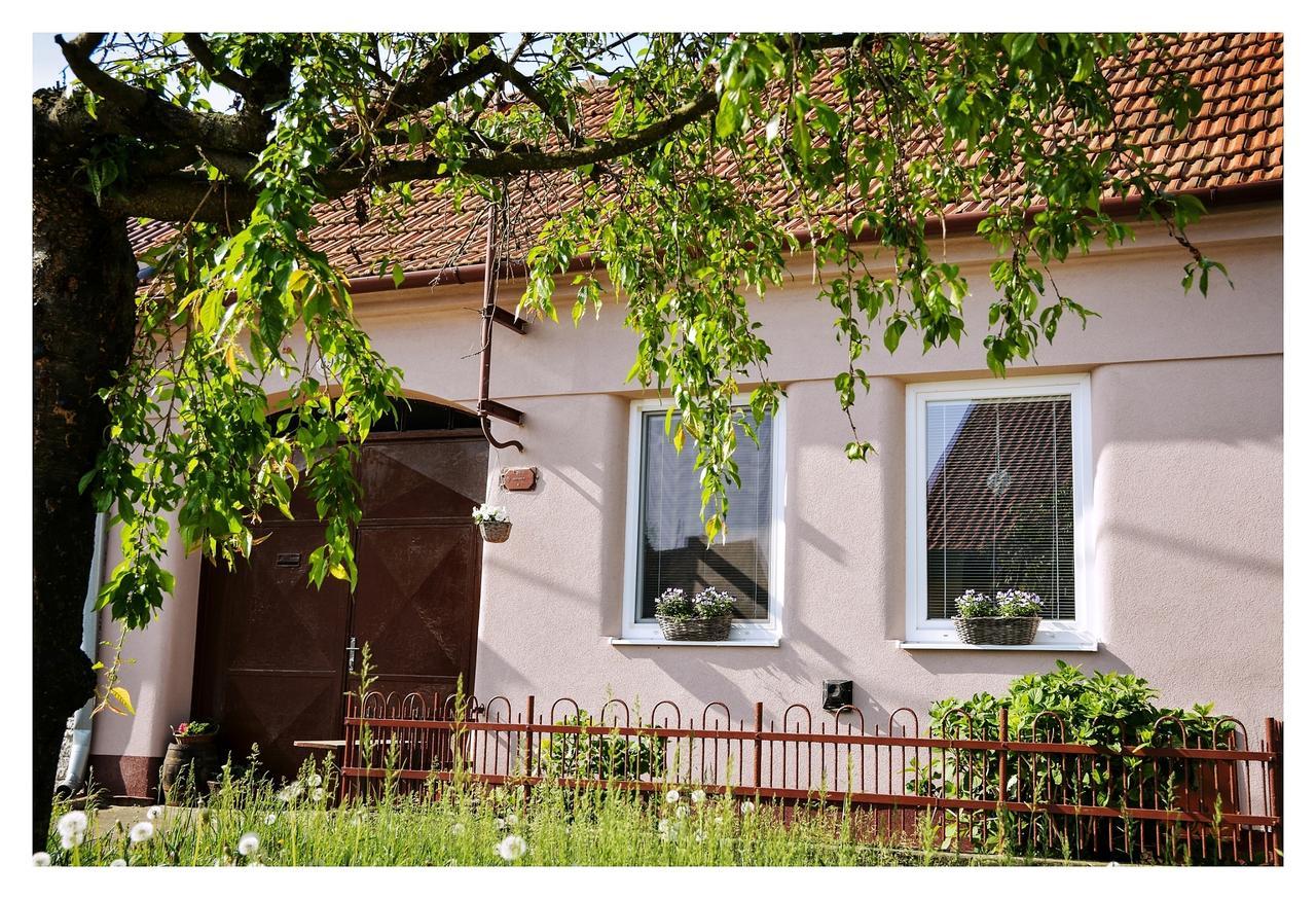 Ubytovani U Trati Hotel Moravská Nová Ves Exterior foto